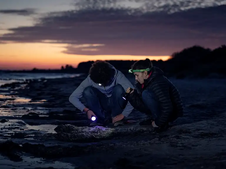 Dark Sky og Ravjagt på Møn