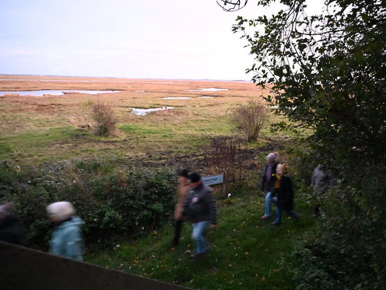 Vandring under Dark Sky på Nyord